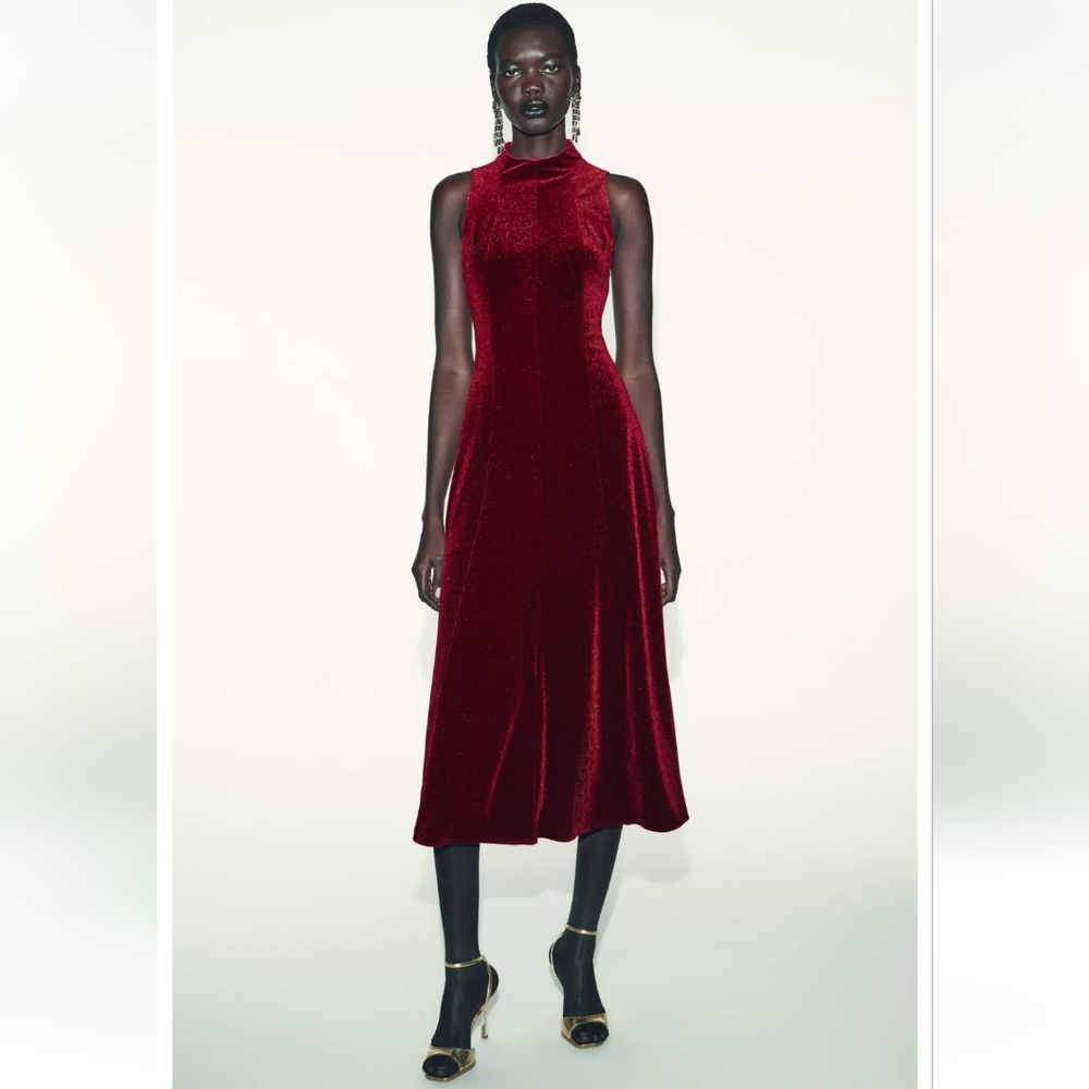 Zara Velvet Red Dress